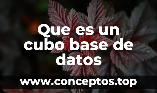 Que es un cubo base de datos
