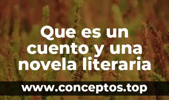 Que es etopeya figura literaria y ejemplos 7 Que es un cuento y una novela literaria