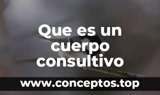 Que es el cuerpo celular 6 Que es un cuerpo consultivo