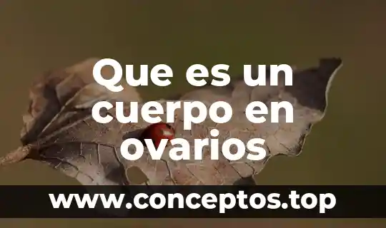 Que es un cuerpo en ovarios