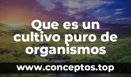 Que es un cultivo puro de organismos
