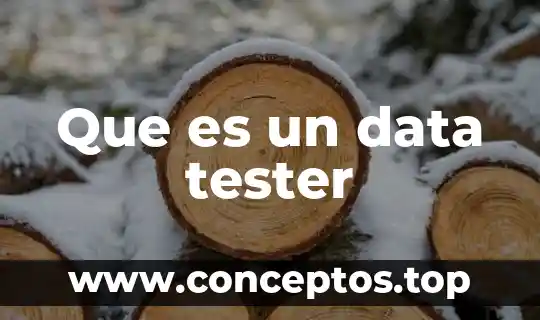 Que es un data tester