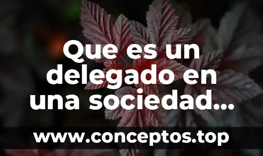 Que es un delegado en una sociedad en mexico