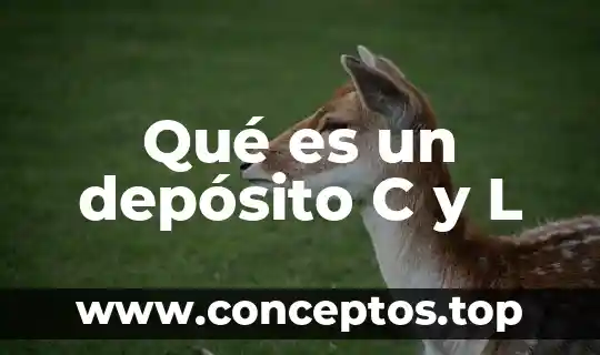 Qué es un depósito C y L