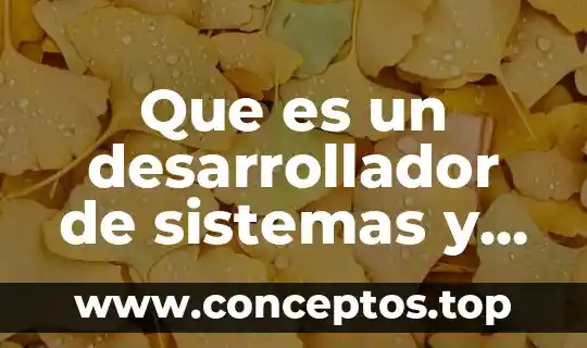 Que es un desarrollador de sistemas y redes