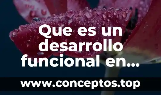 Que es un desarrollo funcional en psicologia