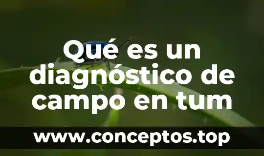 Que es un problema en el campo de la investigacion 4 Qué es un diagnóstico de campo en tum