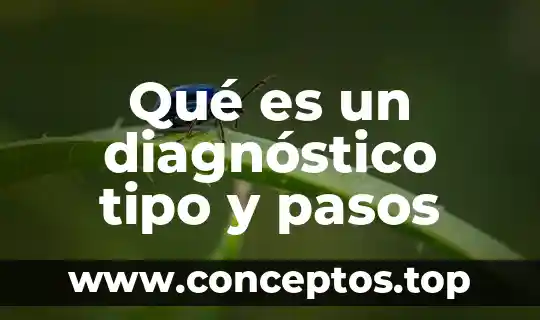 Qué es un diagnóstico tipo y pasos