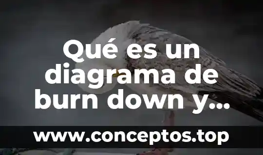 Que es el sindrome de down para niños de primaria 4 Qué es un diagrama de burn down y burn up