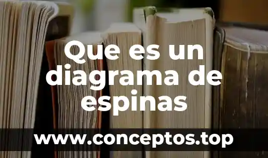 Que es un diagrama de espinas