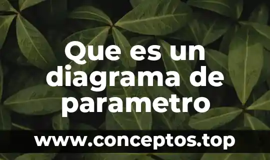 Que es un diagrama de parametro