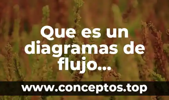 Qué es la diagramas 6 Que es un diagramas de flujo cualitativos