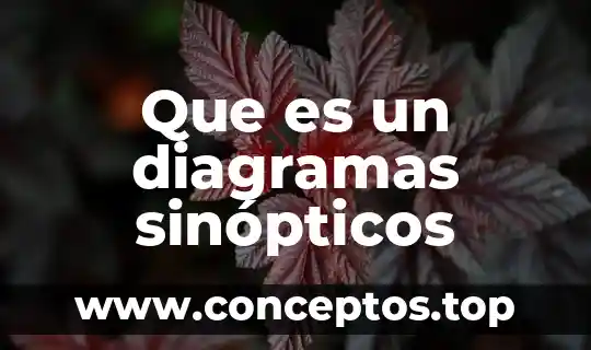 Qué es la diagramas 7 Que es un diagramas sinópticos