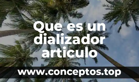 Que es un dializador articulo