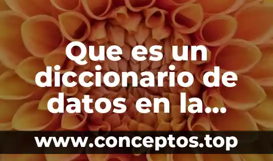 Que es un diccionario de datos en la spss
