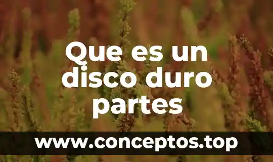 Que es un disco duro partes