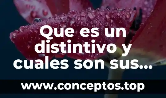 Que es una balanza comercial y cuales son sus tipos 3 Que es un distintivo y cuales son sus elementos
