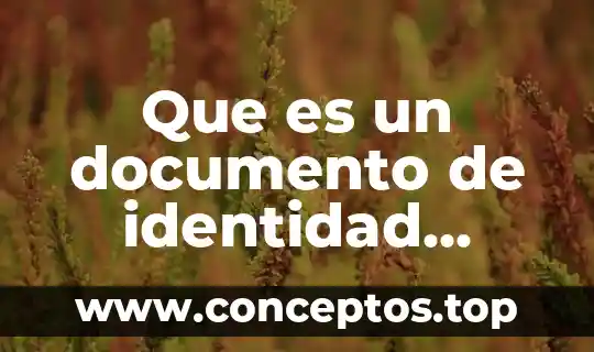Que es un documento de identidad mexico para niños