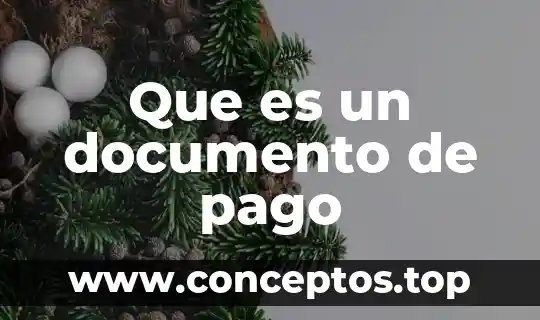 Que es un documento de pago