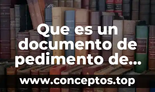 Que es el número de documento de identidad 3 Que es un documento de pedimento de un vehiculo