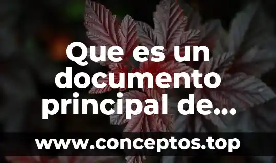 Que es un documento principal de una correspondencia