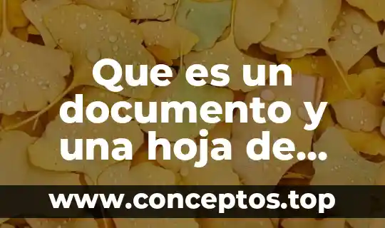 Que es un documento y una hoja de calculo sus caracteristicas
