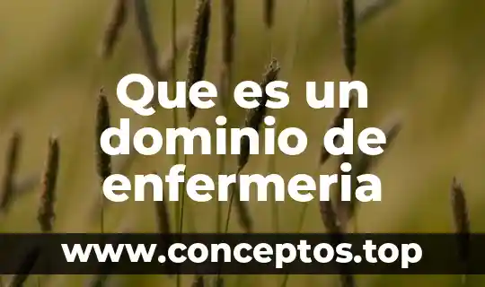 Que es un dominio de enfermeria