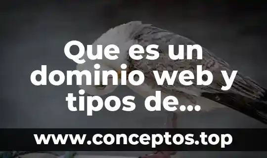 Que es un dominio web y tipos de dominio