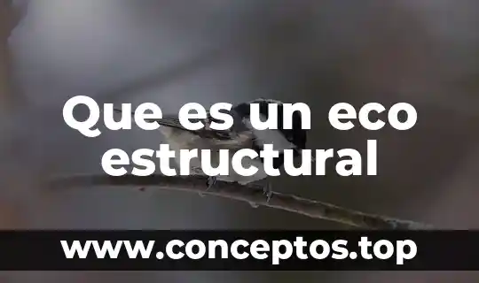 Que es un eco estructural