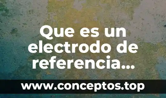 Que es un electrodo de referencia unam