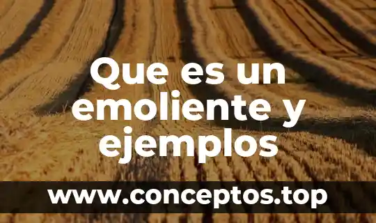 Que es un animal mamifero kinder ejemplos 8 Que es un emoliente y ejemplos