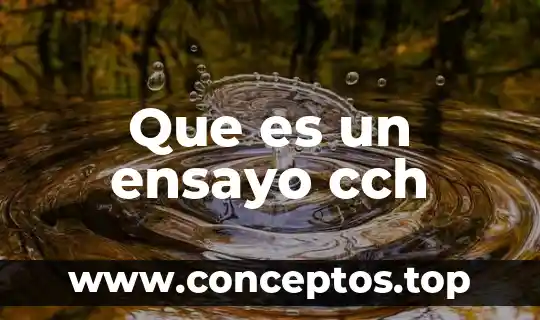 En un ensayo que es la hipótesis 6 Que es un ensayo cch