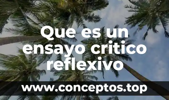 Que es un ensayo critico reflexivo