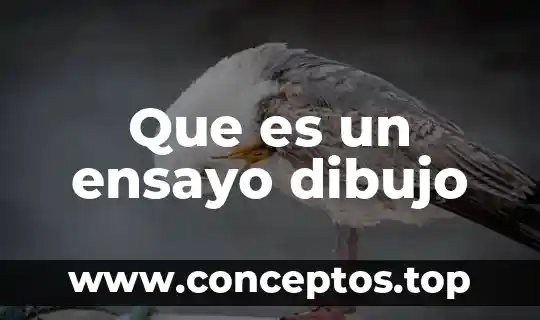 Que es un ensayo dibujo