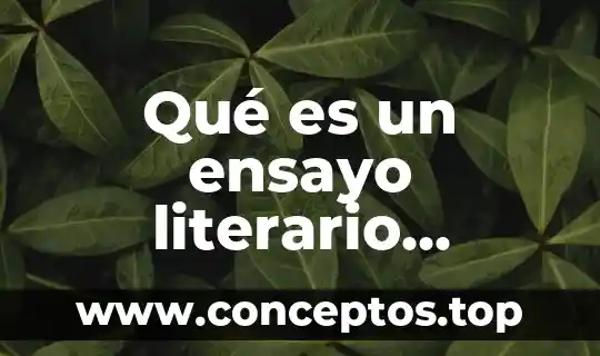 Qué es un ensayo literario estructura