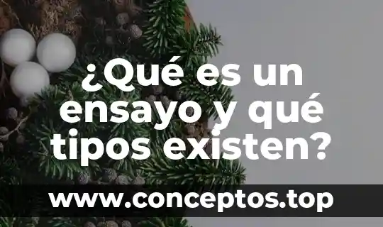 Que es un ensayo de sor juana ines dela cruz 3 ¿Qué es un ensayo y qué tipos existen?