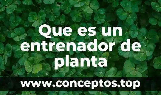 Planta de reciclaje que es 6 Que es un entrenador de planta