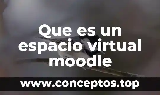 Que es un espacio virtual moodle