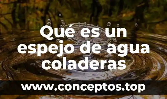 Qué es un espejo de agua coladeras