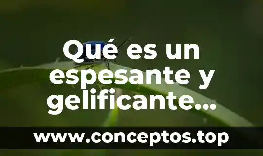 Qué es un espesante y gelificante químico