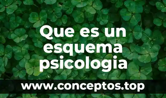 Que es un esquema psicologia