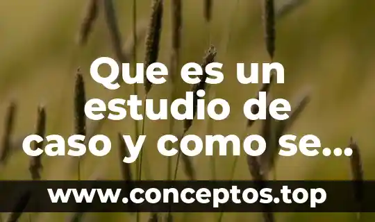 Que es un estudio de caso y como se compone