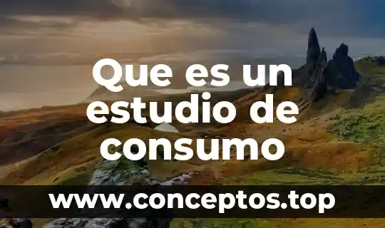 Que es un estudio de consumo