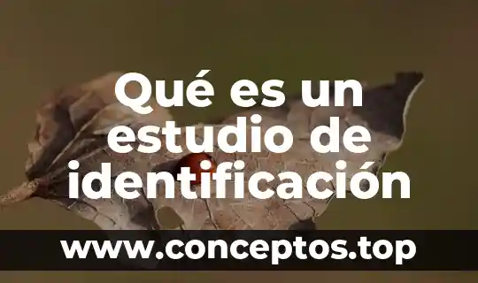 Qué es un estudio de identificación
