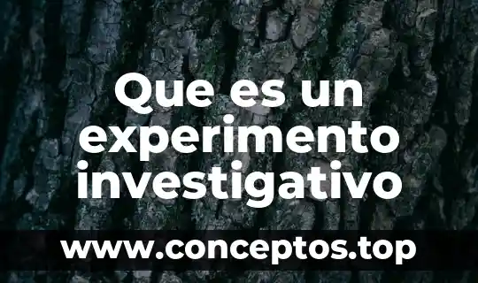 Que es un experimento investigativo
