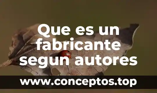 Que es un fabricante segun autores