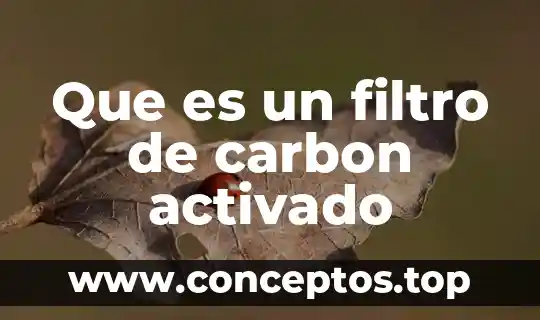 Que es un filtro de carbon activado