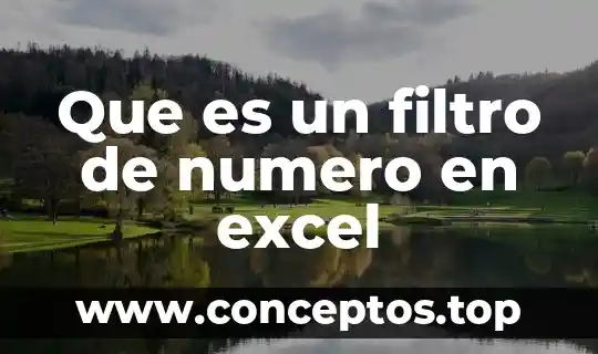 Que es un filtro de numero en excel