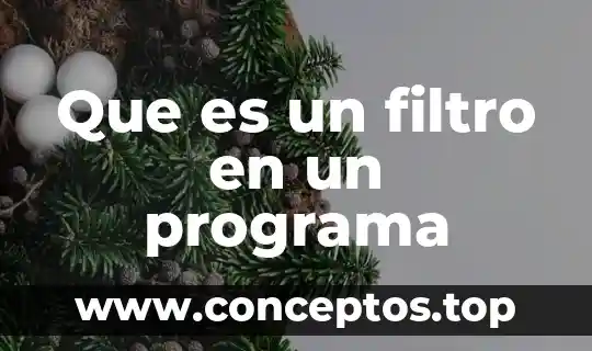 Que es un filtro en un programa