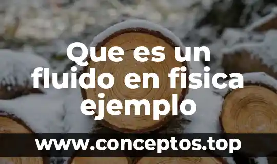 Qué es nombre propios y su ejemplo 8 Que es un fluido en fisica ejemplo
